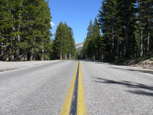 P1150636.jpg