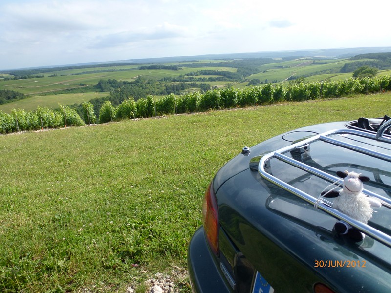 P1000295 (Copier).JPG