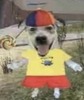 Avatar de l’utilisateur