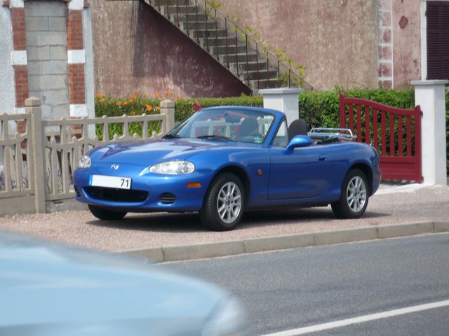 Blue1.jpg