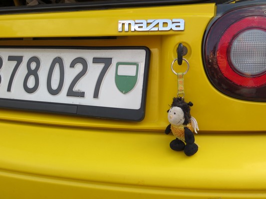 IMG_0014modsizeSX.jpg