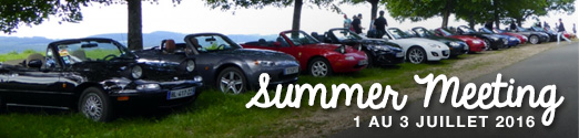 Summer Meeting 2016