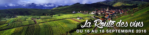 La Route des Vins
