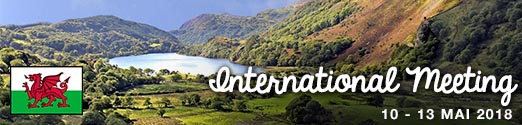 International Meeting - Pays de Galles