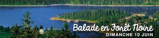 Balade en Forêt Noire