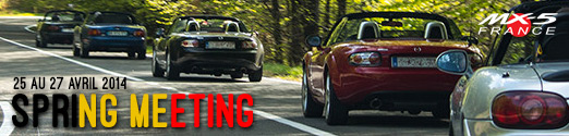 Spring Meeting