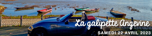 La GALIPETTE ANGEVINE 