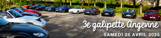 3e Galipette Angevine