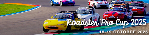 Roadster Pro Cup 2025 - Historic Tour